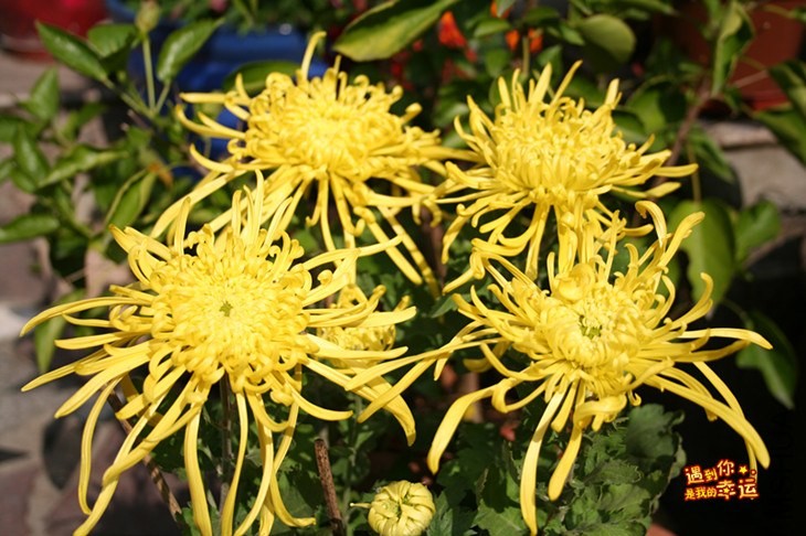 ��Ƭ 110_����.jpg