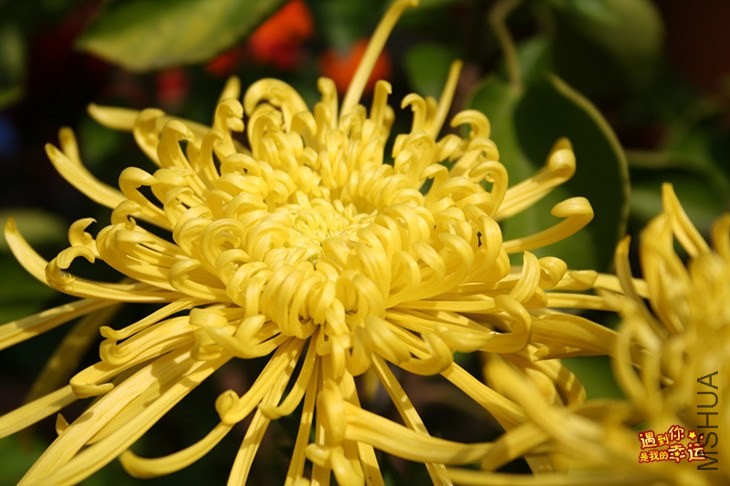 ��Ƭ 111_����.jpg