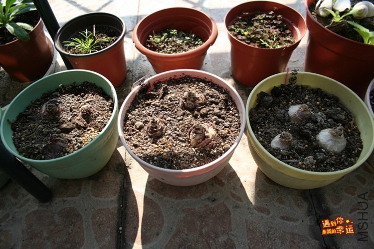 ��Ƭ 090_����.jpg