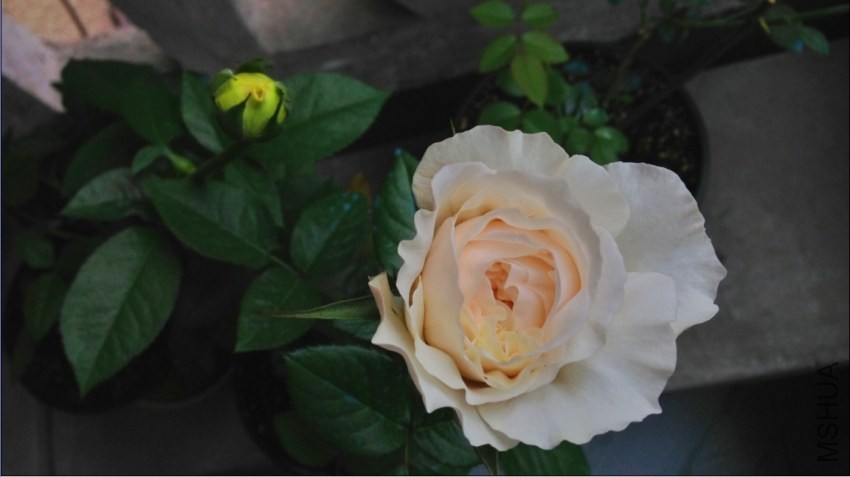 QQͼƬ20131106095039.jpg