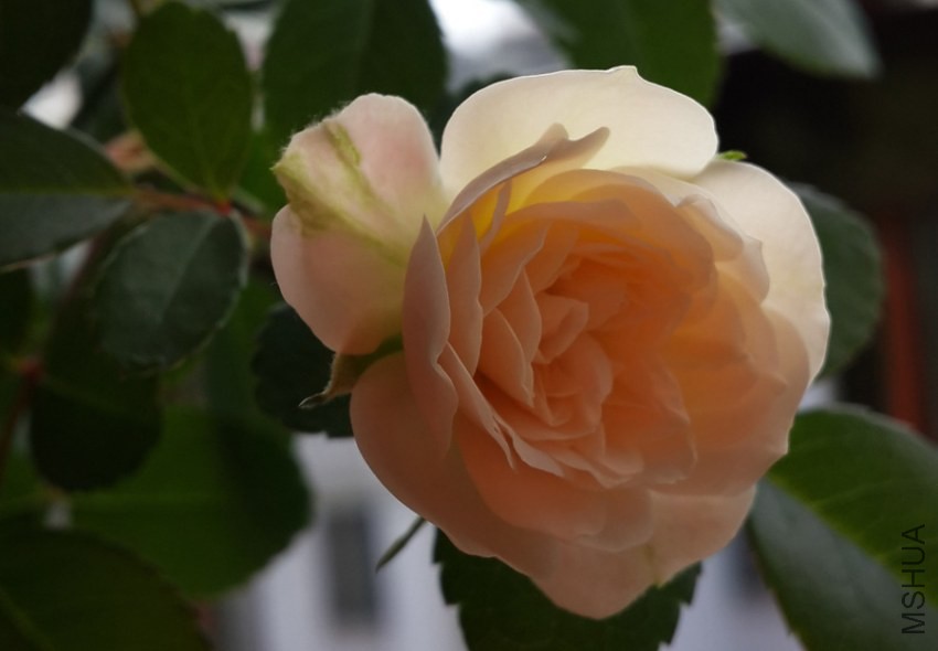 20131030_075700.jpg
