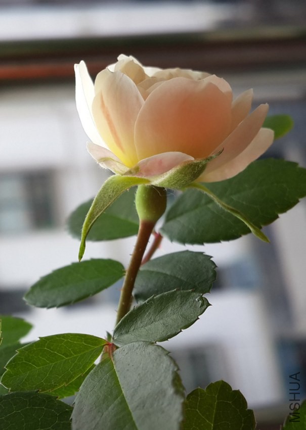 20131030_075708.jpg