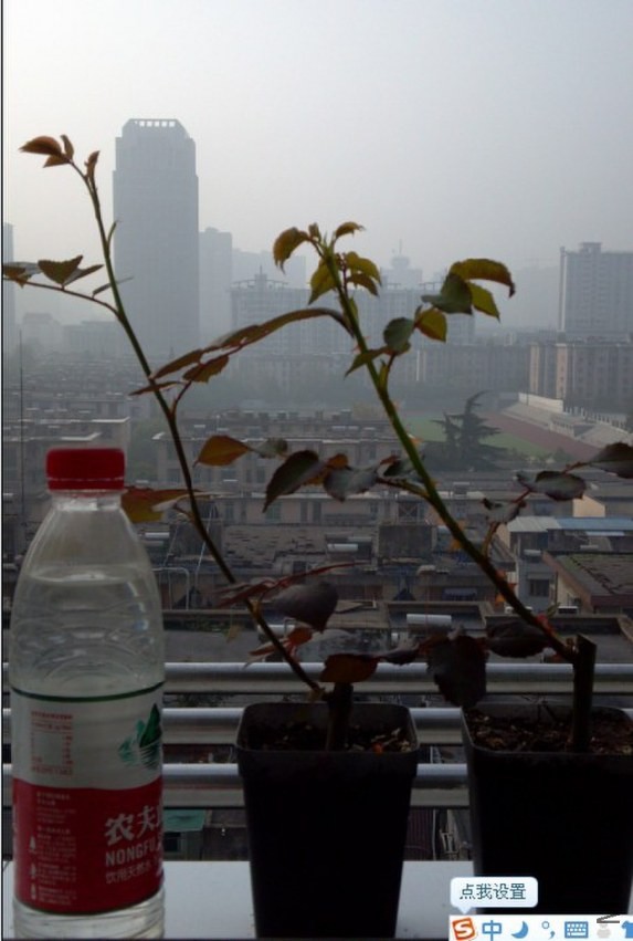 QQͼƬ20131106173455.jpg