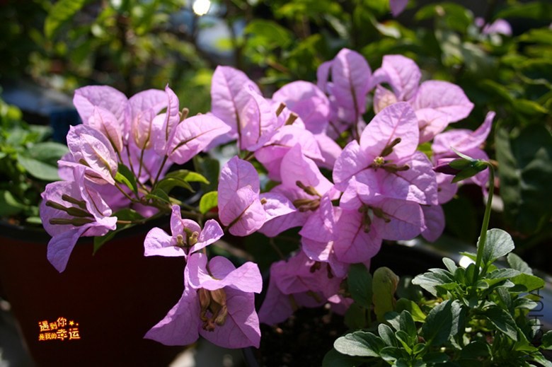 ��Ƭ 005_����.jpg