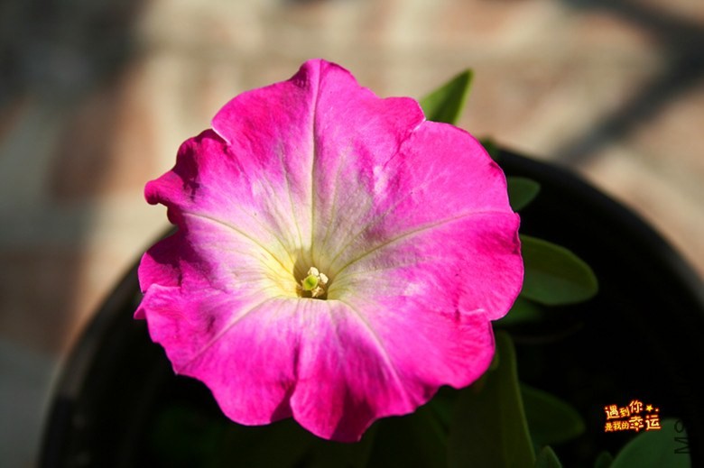 ��Ƭ 014_����.jpg