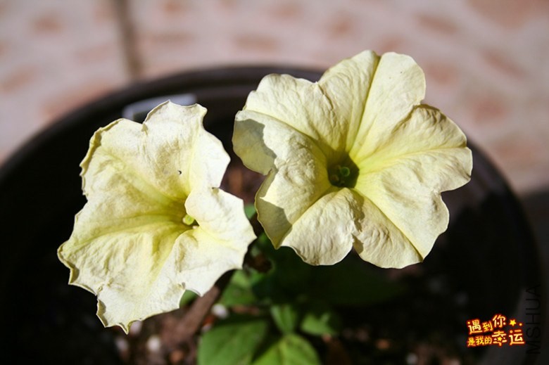 ��Ƭ 015_����.jpg