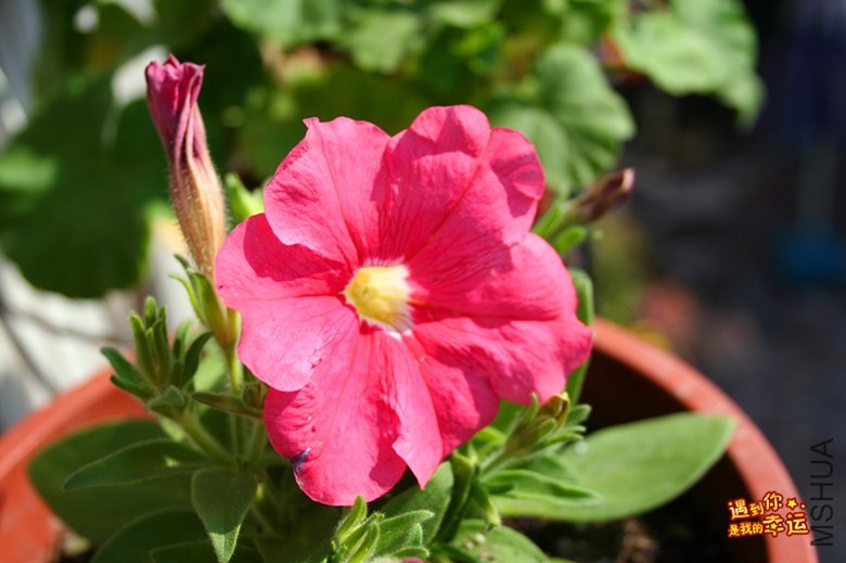 ��Ƭ 016_����.jpg