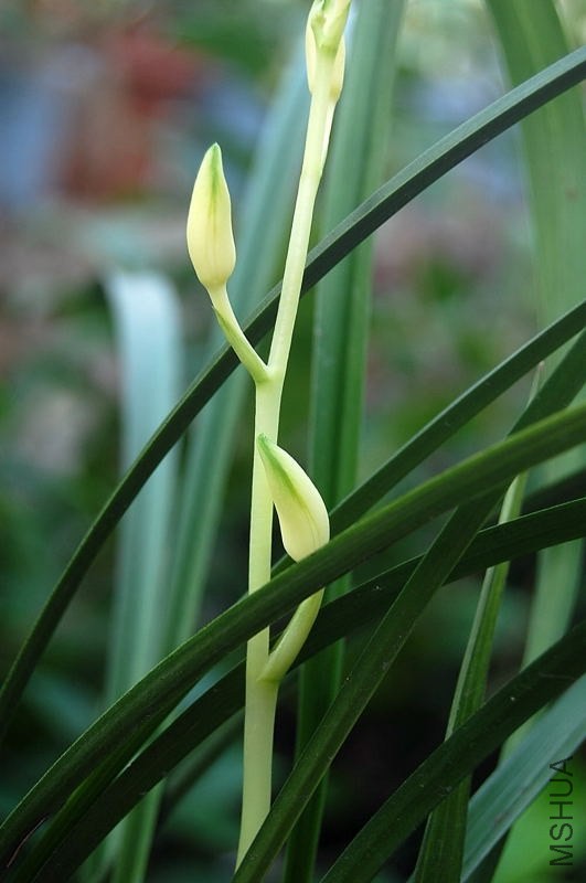 DSC_00010001.JPG