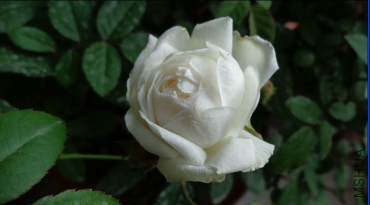 QQ��ͼ20131107100602.jpg