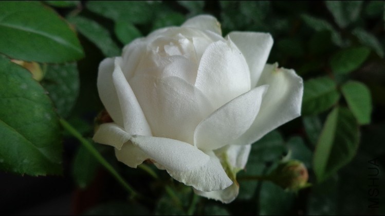 QQ��ͼ20131107100538.jpg