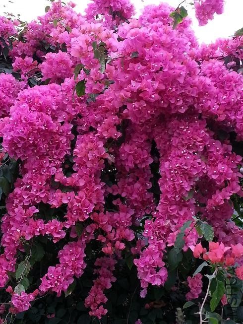20130420_03.JPG