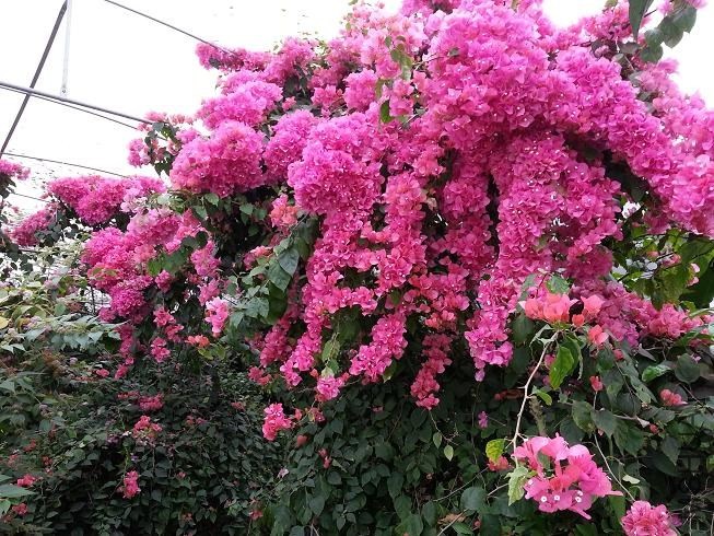20130420_01.JPG