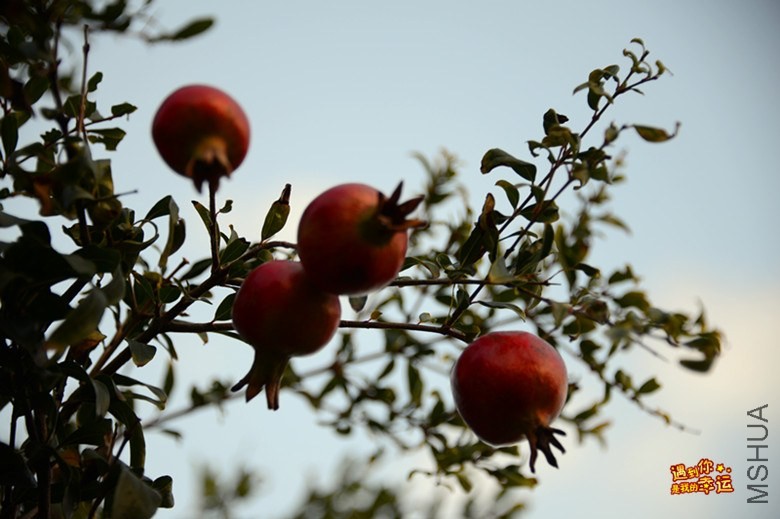 ��Ƭ 004_����.jpg