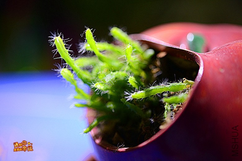 ��Ƭ 020_����.jpg