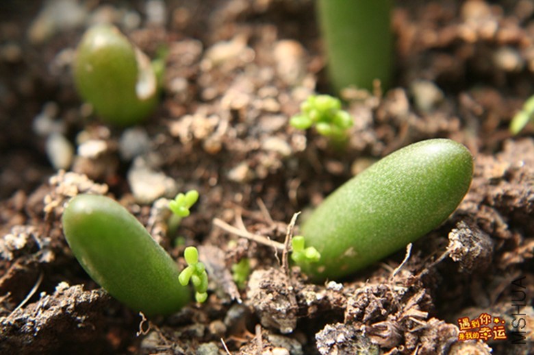 ��Ƭ 039_����.jpg