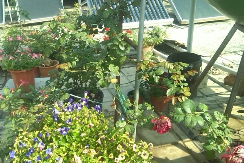 �Ҳ�����