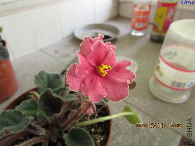 IMG_3193_nEO_IMG.jpg