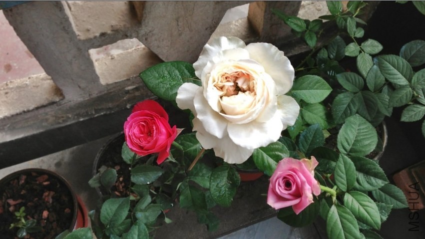 QQͼƬ20131108093450.jpg
