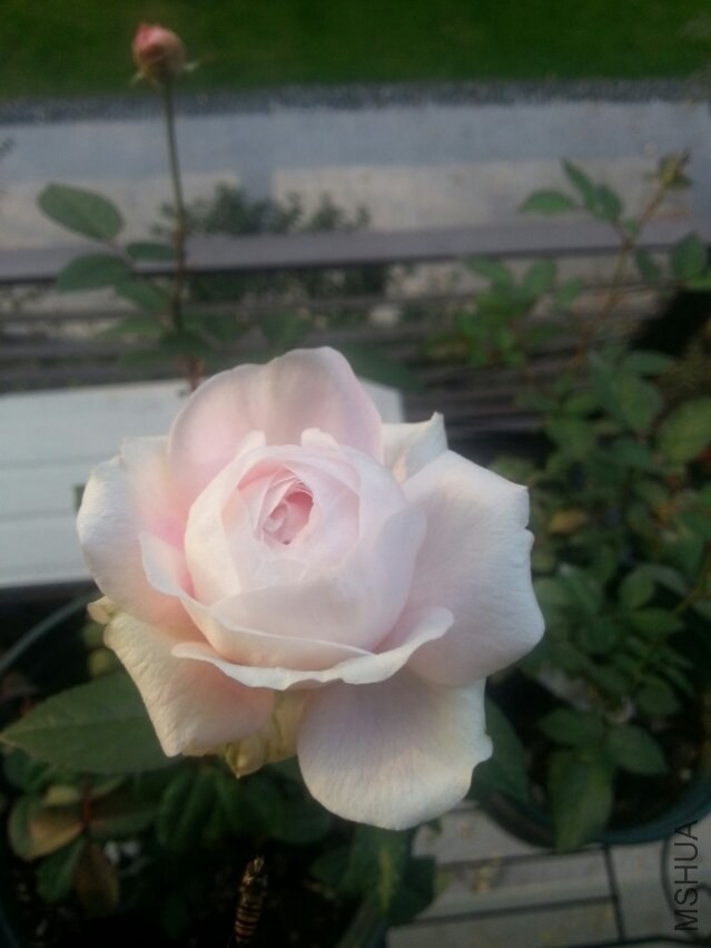 ��ױ¥-2 11.8.jpg