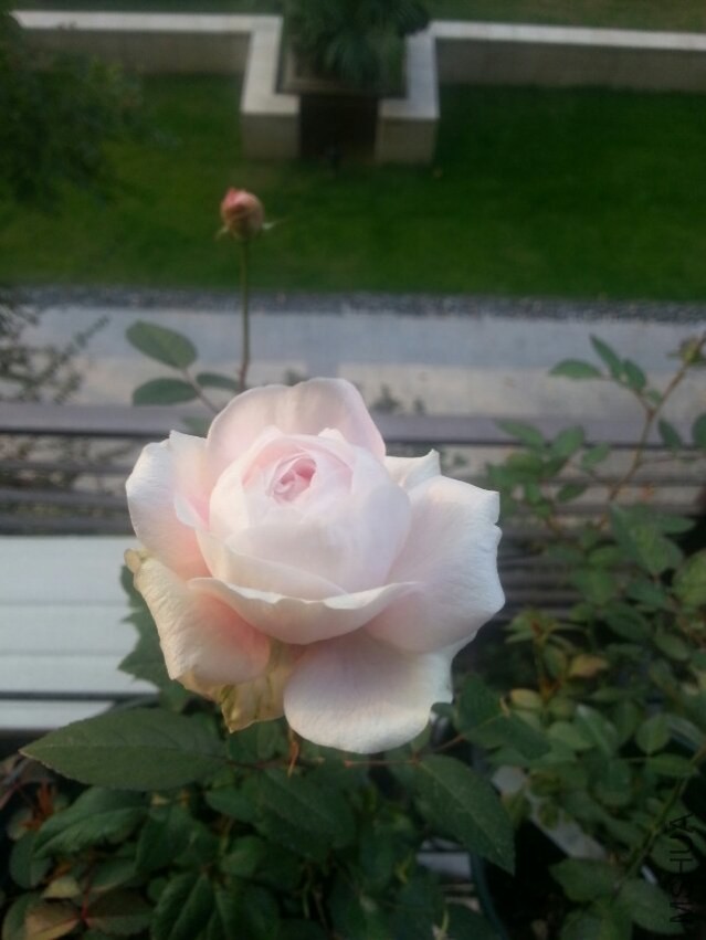 ��ױ¥-1 11.8.jpg
