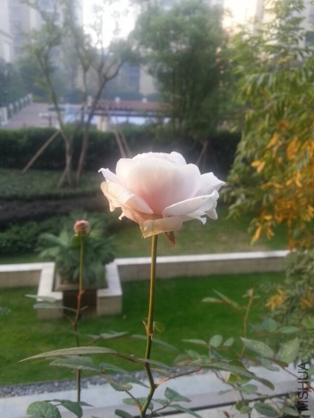 ��ױ¥-3 11.8.jpg