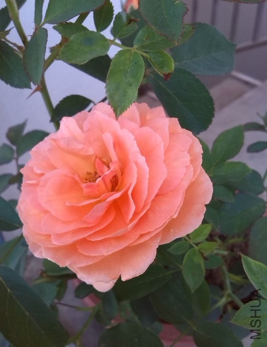 ����ʱ���Ļ�