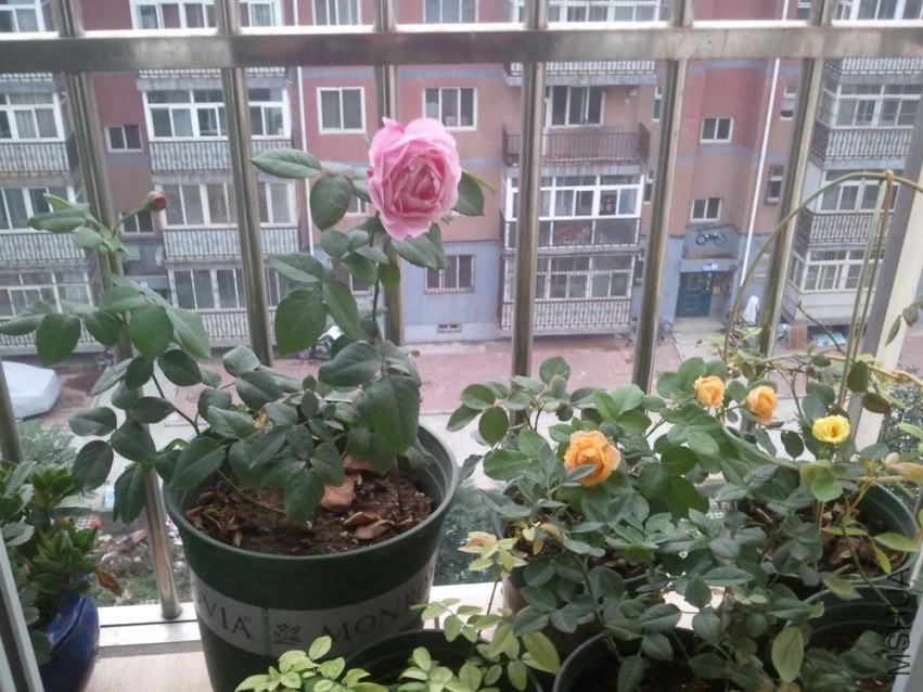 130708190316_1367142.jpg