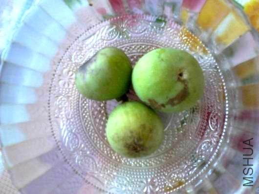 �����ع� ������С 2013-08-29_10-11-32_351.jpg