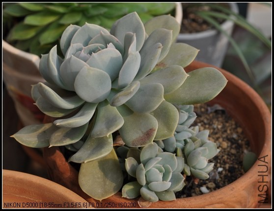 ³��ʯ�� 2.jpg