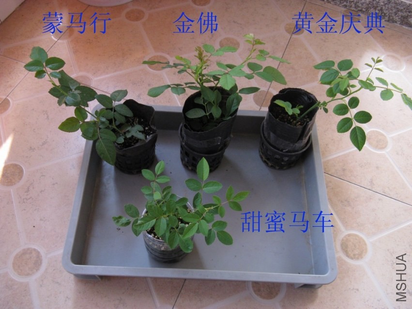 20131108.jpg