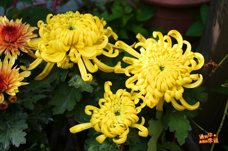 ��Ƭ 143_����.jpg