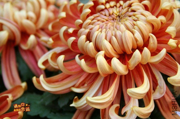 ��Ƭ 142_����.jpg