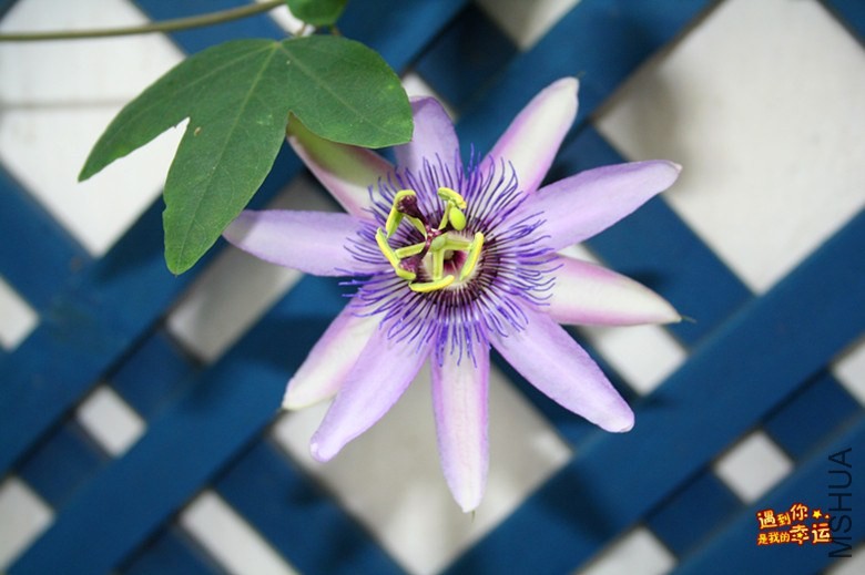 ��Ƭ 156_����.jpg