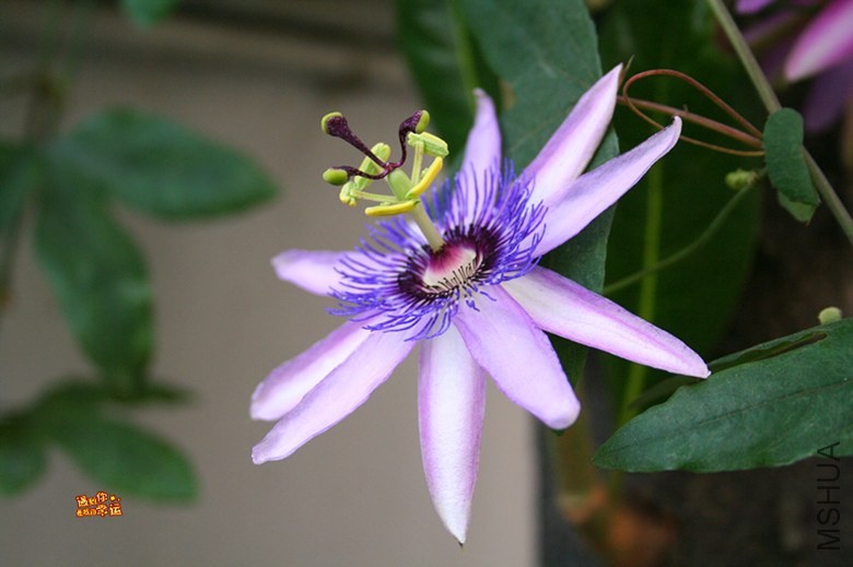 ��Ƭ 157_����.jpg