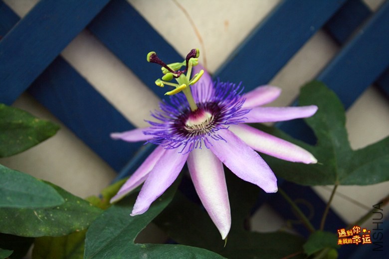 ��Ƭ 159_����.jpg