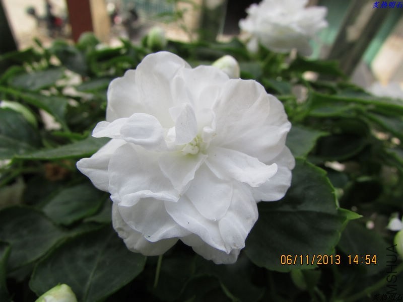 IMG_9890_nEO_IMG.jpg