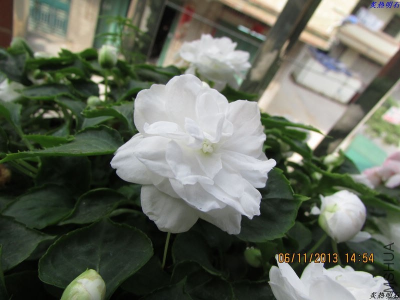 IMG_9891_nEO_IMG.jpg