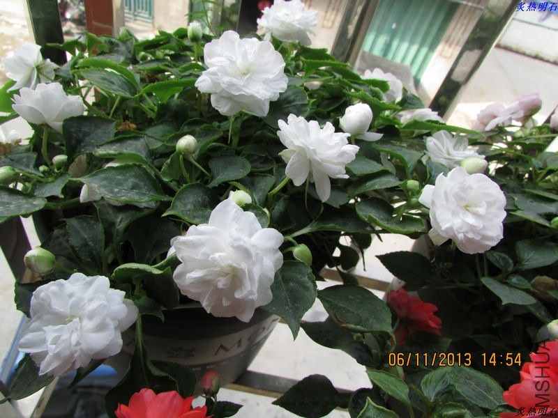 IMG_9892_nEO_IMG.jpg