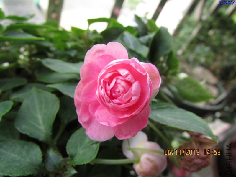 IMG_9912_nEO_IMG.jpg