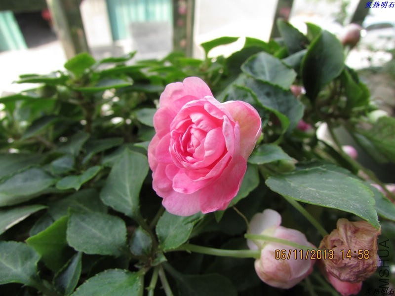 IMG_9913_nEO_IMG.jpg