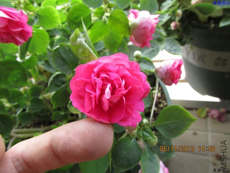 IMG_9910_nEO_IMG.jpg