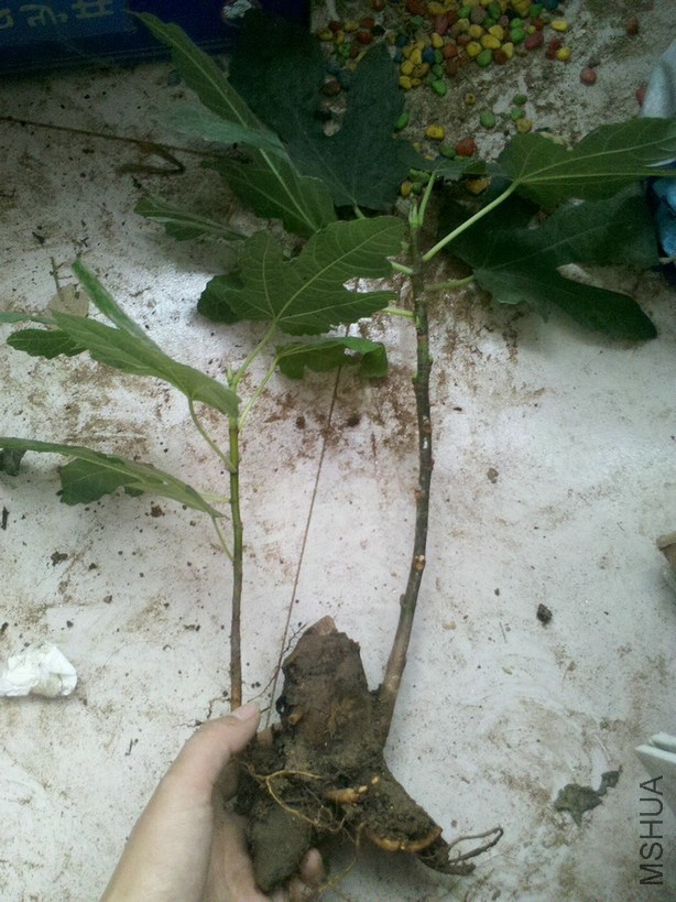 2013-11-09_10-43-52_328.jpg