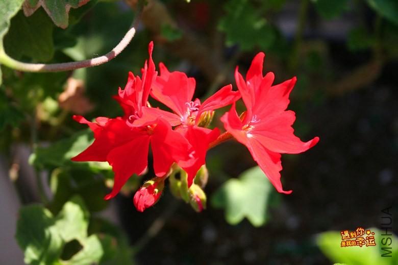 ��Ƭ 018_����.jpg