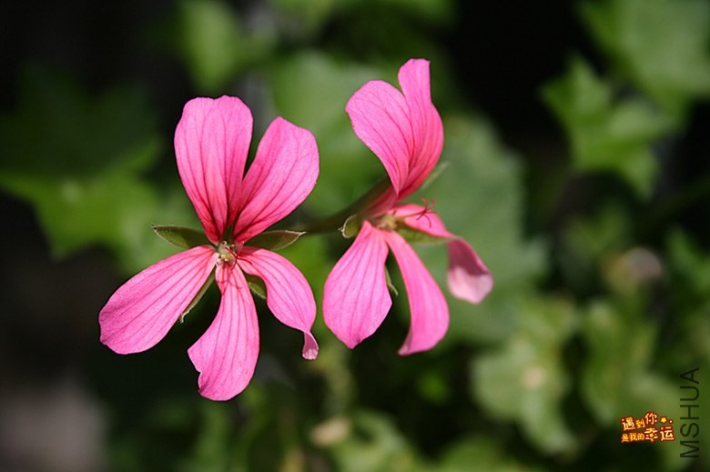 ��Ƭ 021_����.jpg