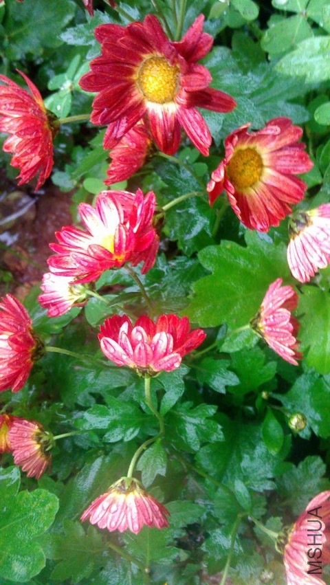 IMAG0608.jpg