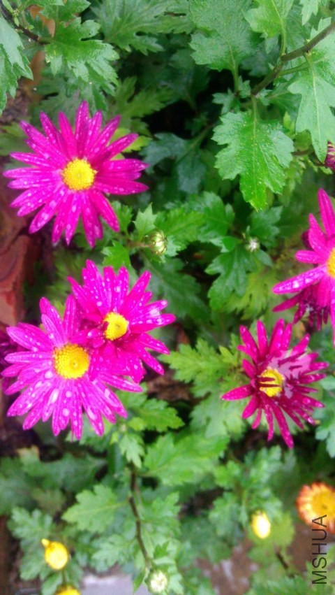 IMAG0612.jpg