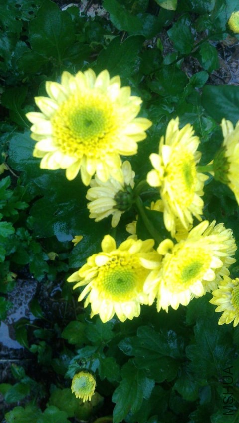 IMAG0613.jpg
