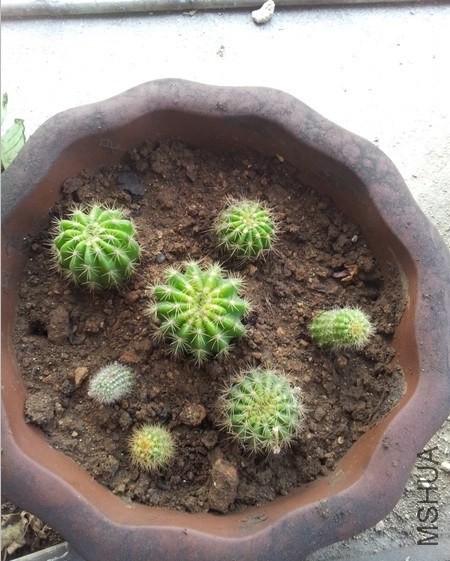 ����������