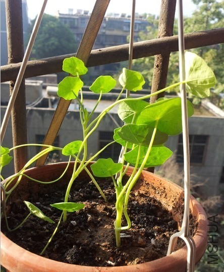 �ղ����ܵĺ�����