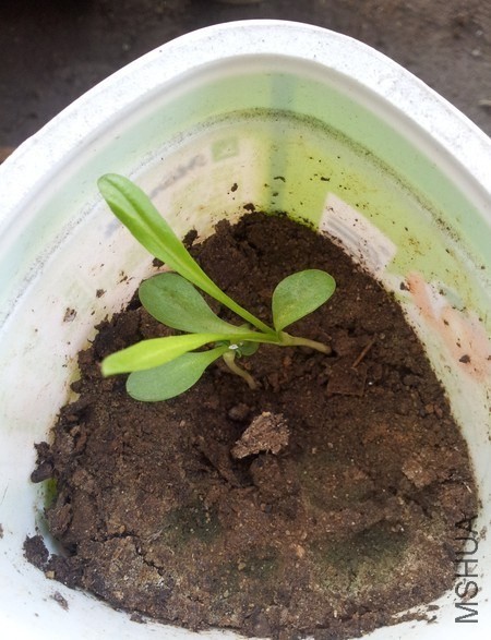 �������ܵİ�ţ